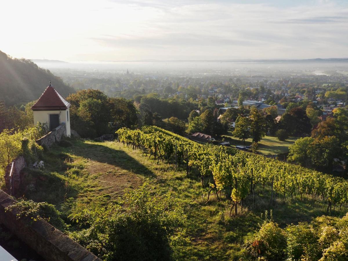 Wohlfuehl-Apartment Am Loesnitzgrund Radebeul Buitenkant foto